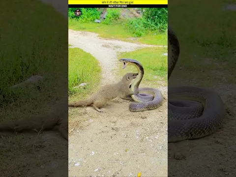 #funnyexpression