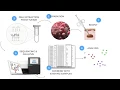 Transcriptomics 3 - Project and Dataset Overview