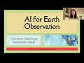 How to Classify Sea Ice and Leads Using AI