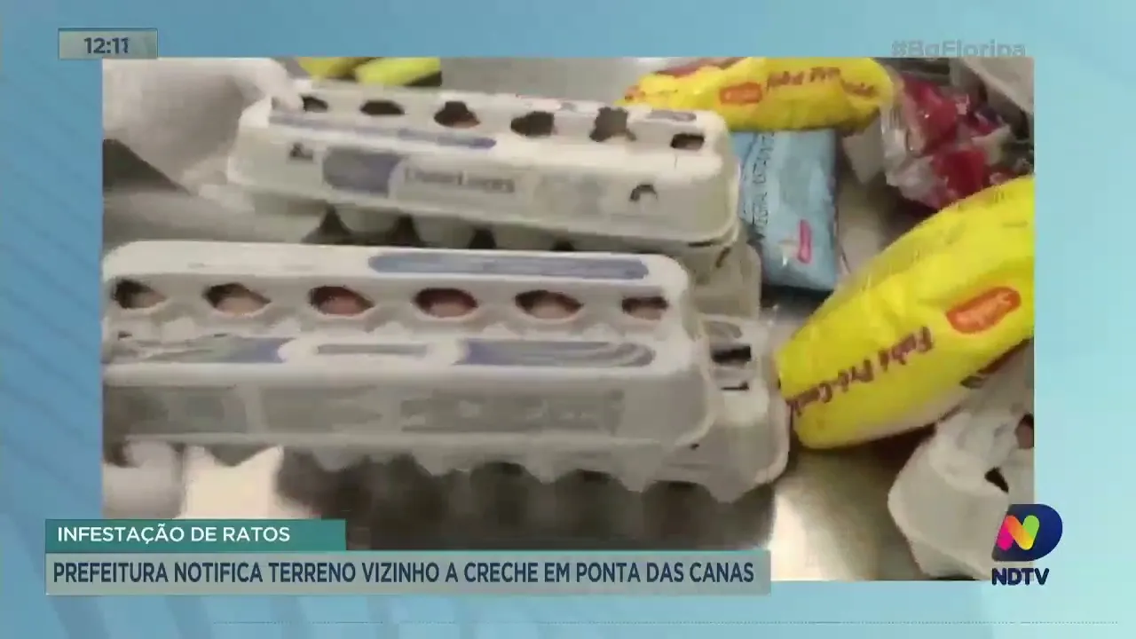 Capital: Prefeitura notifica terreno vizinho a creche interditada no bairro Ponta das Canas