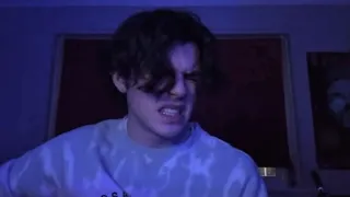 tom rosenthal edith whiskers home cover by mathew hall 