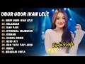 Download Lagu Shinta Arsinta - Ubur Ubur Ikan Lele Janda Lebih Menggoda Le - Kelangan || DANGDUT TERBARU 2025