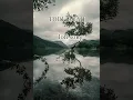 Download Lagu #todi jagah lofi song