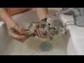 First bath for street kitten help in our life
