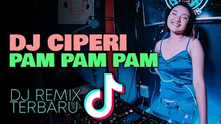 Download DJ CIPERI PAMPAMPAM GAK SUKA GELAY Remix BIASALAH TikTok Viral Terbaru 2021 MP3