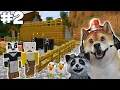 Download Lagu Bikin Peternakan Dan Perkebunan Di Desa Kita!! - Minecraft Survival #2