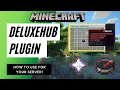 HOW TO USE DELUXE HUB TO MAKE PROFESSIONAL HUB