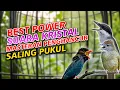 Download Lagu MASTERAN JINGJING PETULAK KAPAS TEMBAK TENGKEK BUTO POWER KRISTAL MESIN JAHIT AMPUH