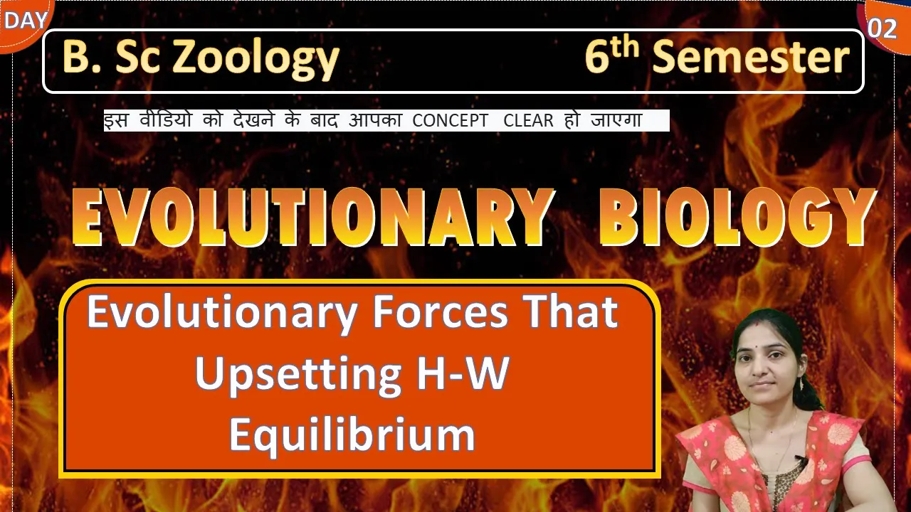 evolutionary forces who upsetting the Hardy-Weignberg equilibrium ||