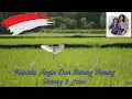 Download Lagu Kepada Angin Dan Burung Burung ( Lirik ) - Franky and Jane  -