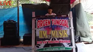 instrumen orgen tunggal iim cs musik
