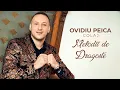 Download Lagu Ovidiu Peica - Colaj Melodii de Dragoste | 2025