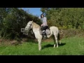 YOUNG BEAUTIFUL BRUNETTE WOMAN RIDING WHITE HORSE RFTDUVQXE