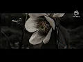 Devil - Shinedown (𝓢𝓵𝓸𝔀𝓮𝓭 𝓽𝓸 𝓹𝓮𝓻𝓯𝓮𝓬𝓽𝓲𝓸𝓷)