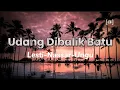 Lagu Udang Dibalik Batu | Lirik Lagu | Lesti-Nassar-Ungu #laguviral #liriklagu #music  #lestikejora #fyp