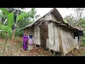 Download Lagu BIKIN KAGET.. JUMPA SATU KELUARGA YANG MEMILIH TINGGAL DI GUBUK REYOT TENGAH HUTAN JAUH KEMANA-MANA