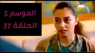مسلسل زهرة القصر الجزء الخامس الحلقة 37 مترجم HD 