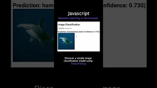 Image Classification with TensorFlow js JavaScript