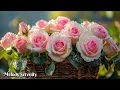 Download Lagu The best melodies in the world🎶Music for the soul, for a calm day🎶Music by Sergey Grischuk