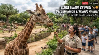 ¡Pasó esto en el ZOO de Santo Domingo! 😱🇩🇴