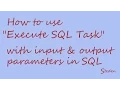 SSIS Execute SQL Task - SQL batch with input parameters output parameters