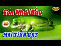 Lagu Con nhái bầu, chúc các bạn nghe nhạc vui vẻ và hạnh phúc