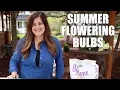 Summer Flowering Bulbs Garden Answer