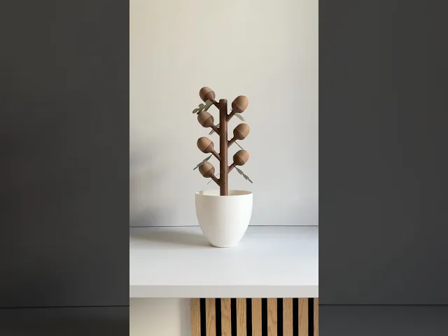 Oak, weekly pill dispenser. video thumbnail