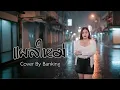 แผลใหม่ - จินตหรา พูลลาภ |Cover By Banking