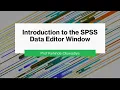 introduction to the SPSS Data Editor Window