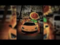 Download Lagu GROW A GARDEN FUNK (ULTRA SLOWED + REVERB) [BRAZILIAN PHONK]