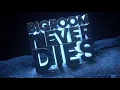 Download Lagu hardwell blasterjaxx feat mitch crown bigroom never dies visual video 4IHDZ4 8oN0 1080p