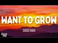Gaise Baba - Want to Grow (Lyrics)