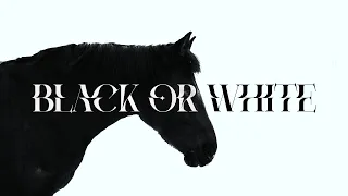 v nex black or white alex peipman remix 
