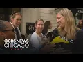 Adoptable pets meet Gold Coast shoppers