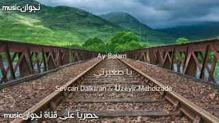 مترجمه             دندنها