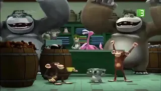 بطاريق مدغشقر عليMBC3 