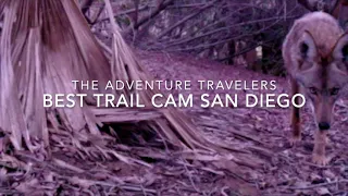 Best Trail Cam San Diego