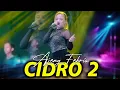 Download Lagu CIDRO 2 - AJENG FEBRIA | NEW ASTINA (OFFICIAL LIVE MUSIC) DHEHAN AUDIO MP3