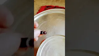 فرقع لووز دندنها