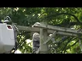 DTE crews work around the clock to restore power to Metro Detroit