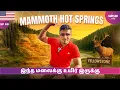 Download Lagu பூமியில் நடக்கும் ஒரு அபூர்வ நிகழ்வை பார்க்க போறோம்🏞️ | Mammoth Hot Springs | Yellowstone | Ep 9
