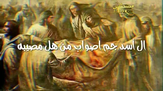 ال أسد ماتدرون بالغاضريه  شصار عله ابو السجاد والفاطميه  حالات واتساب  مصطفى الربيعي دندنها