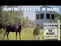 Download Lagu 152 Acres of Prime Maine Hunting Land | Maine Real Estate