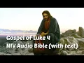 Luke 4 NIV Bible with text