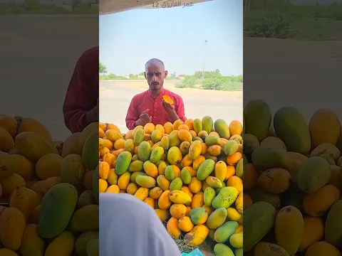 الصلع طلع ذيب ومكار! 😏😱