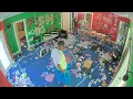Fishtank Season 5 - Owner found the goo room