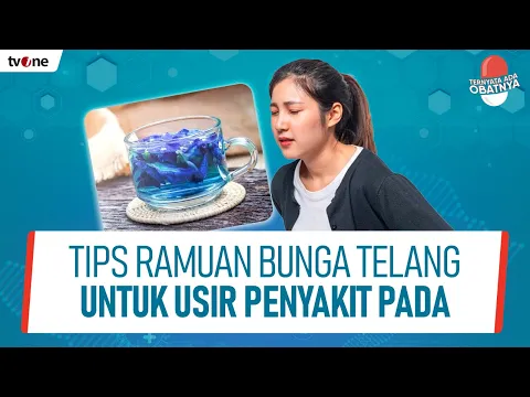 Jangan Salah, Ramuan Bunga Telang Atasi Batuk dan Gangguan Pencernaan