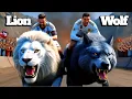 Lagu Messi Vs Ronaldo: Beast Racing Championship 🦁🐺🔥