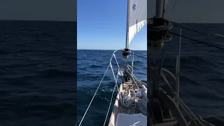 Free as we’ll ever be🌊 #cruising #sailing #freedom #offshore #mexico